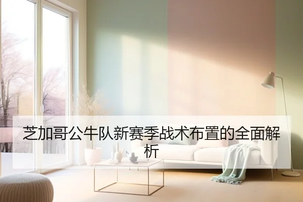 芝加哥公牛队新赛季战术布置的全面解析